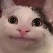 Dav_L