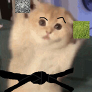 Random cat