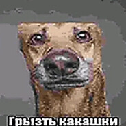 ДОКС