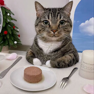 кот с паштетом