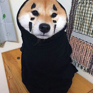 Bai mai shegi ba