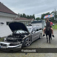Häst krigaren