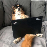 Thinkpad Gamer
