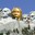 Group Avatar