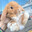 Group Avatar