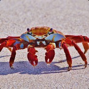 TheEvilKRab