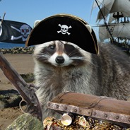 CurvyPirate
