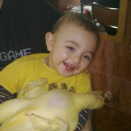 amiralex 311