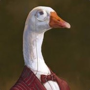 mr.Goose