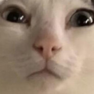 Figeltar