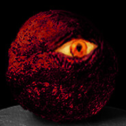 Steam profile picture for @phisk