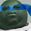 NIGGATURTLE
