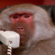 BaboonClapper