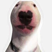 Homchodezil