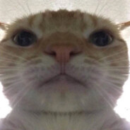 qwe
