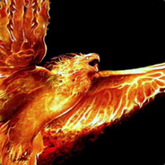DargPhoenix avatar