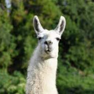 Llama