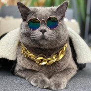 1 3 1 2