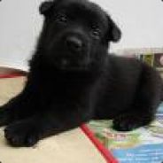 ADD patr3700 på friends