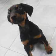 Zeke