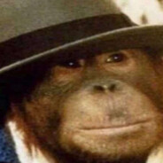 Monkey B