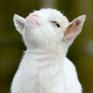 That Darn Goat