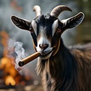 GOAT_ZMS007