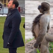 Rafa Sıva