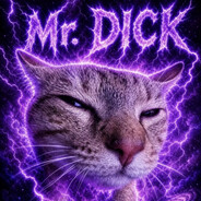 Mr.DICK