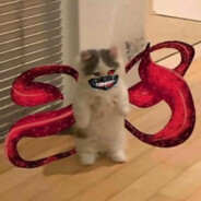 vvs