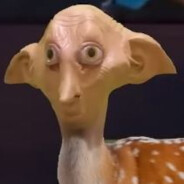Limba