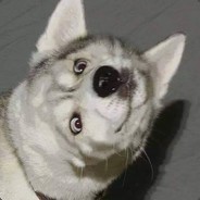 A_toaster