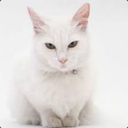 XylO