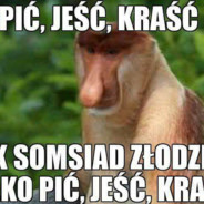 Januszvbiznes