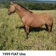 GUY/FIAT UNO