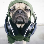 ratking
