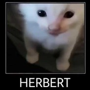 herbert