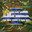 Group Avatar