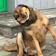 жужа