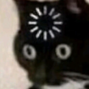 nekotan