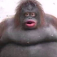 CHUNKYMONKE