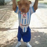 vine malado