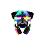 Steam profile picture for @v6lentina