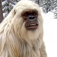 ElLocoBlanco