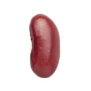 beanzz2077