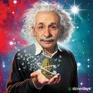 MrHighStein
