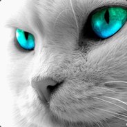 КоТиК зАдРоТиК
