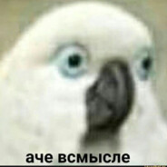 2131123123