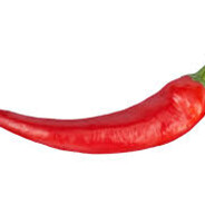 Pepper