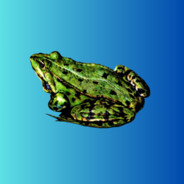 /FROG/